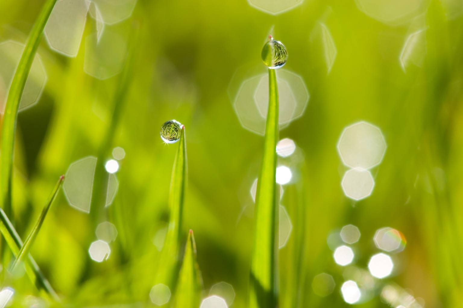 Témoignage d’un client : WATERLOGIC, Multiservices