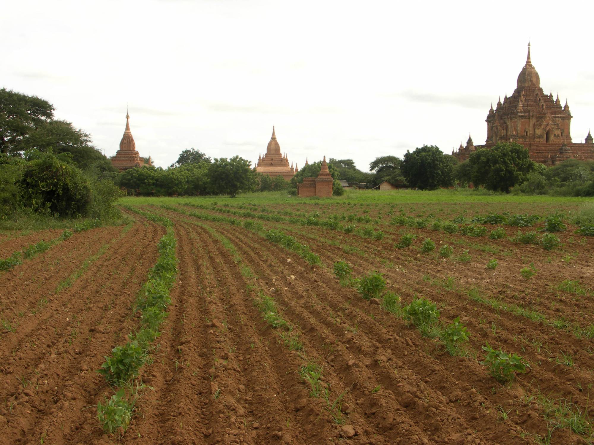 Adopter l'éco-conduite à Nantes