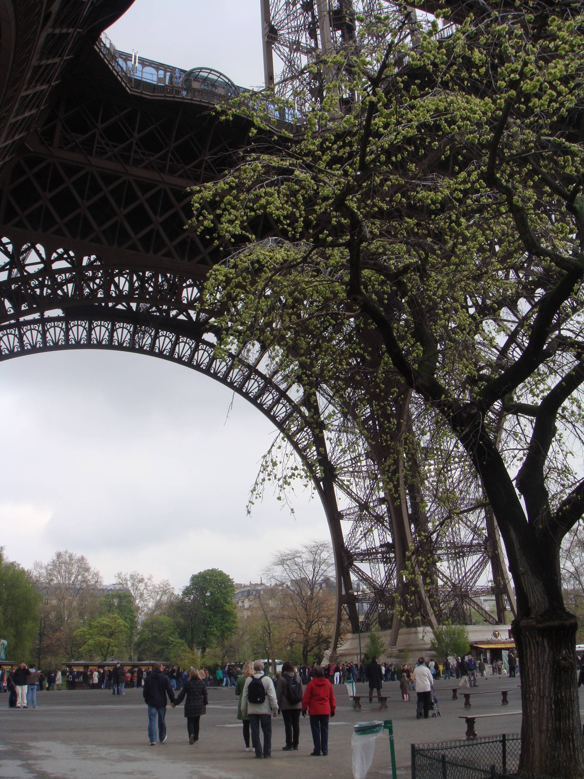 Passer à l'éco-conduite à Paris